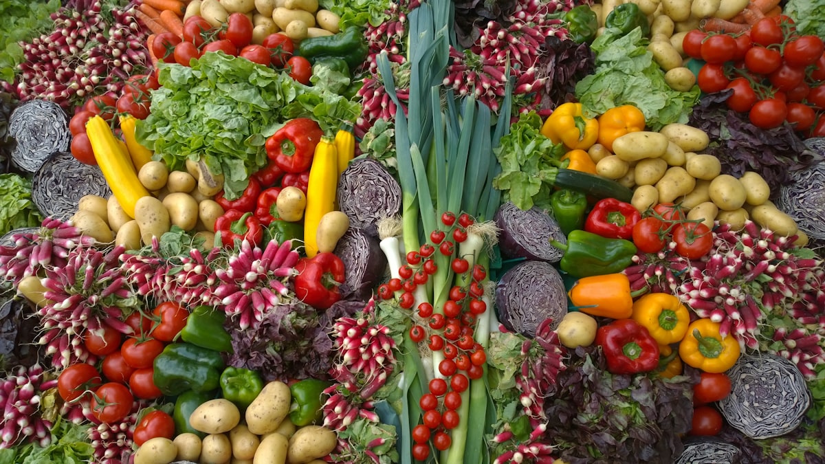 Schnelle gesunde Rezepte